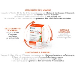 Vitformula Acerola 30 Stick 2 G Vitformula Acerola 30 Stick 2 G