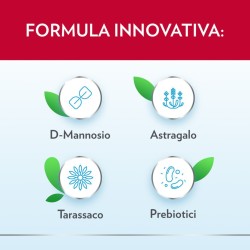 Gyno-canescystil Cistipro 14 Bustine Gyno-canescystil Cistipro 14 Bustine