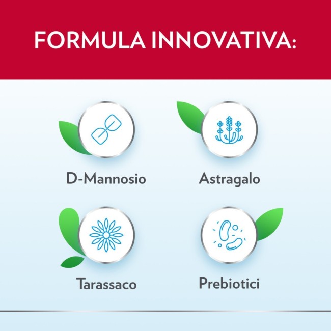 Gyno-canescystil Cistipro 14 Bustine Gyno-canescystil Cistipro 14 Bustine