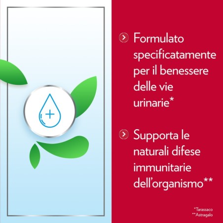 Gyno-canescystil Cistipro 14 Bustine Gyno-canescystil Cistipro 14 Bustine