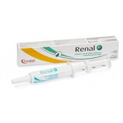 Renal P Pasta Siringa Dosatrice 15 Ml