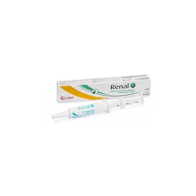 Renal P Pasta Siringa Dosatrice 15 Ml Renal P Pasta Siringa Dosatrice 15 Ml