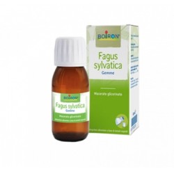 Fagus Sylvatica Boiron Macerato Glicerico 60 Ml