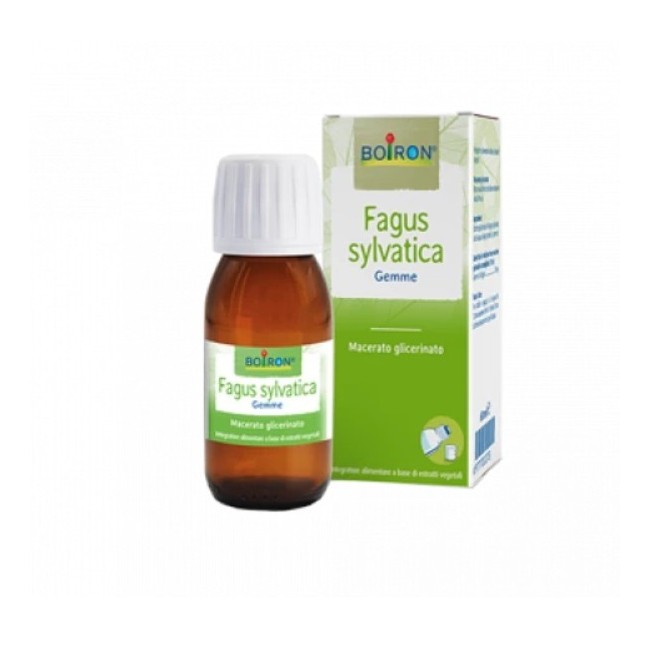 Fagus Sylvatica Boiron Macerato Glicerico 60 Ml