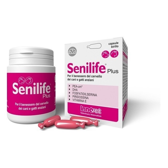 Senilife Plus 60 Capsule