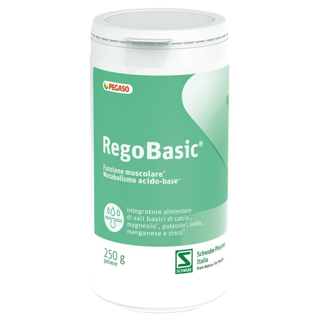 Regobasic Polvere 250 G Regobasic Polvere 250 G
