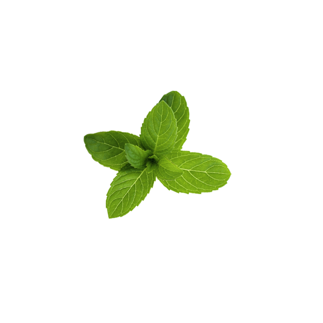Klorane Polvere Purificante Menta Acquatica 50 G Klorane Polvere Purificante Menta Acquatica 50 G