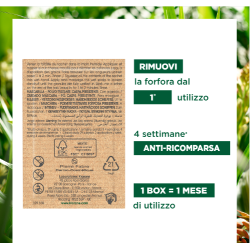Klorane Shampoo Maschera 2in1 8 Bustine Da 3 G Klorane Shampoo Maschera 2in1 8 Bustine Da 3 G