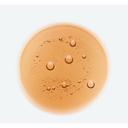 Klorane Shampoo Galanga 400 Ml Klorane Shampoo Galanga 400 Ml