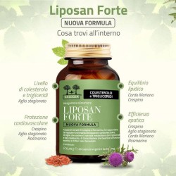 Salugea Liposan Forte Nuova Formula 60 Capsule Salugea Liposan Forte Nuova Formula 60 Capsule