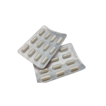 Rotanelle Plus 24 Capsule Rotanelle Plus 24 Capsule