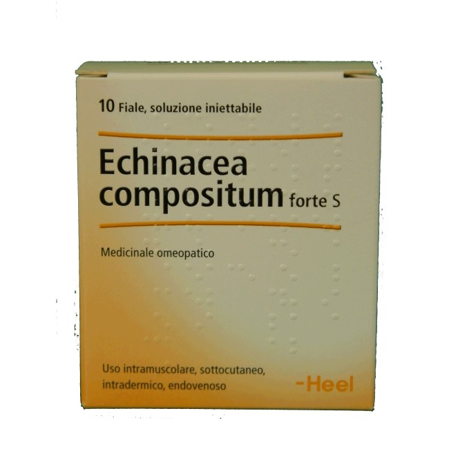 ECHINACEA COMP S 10F FT HEEL