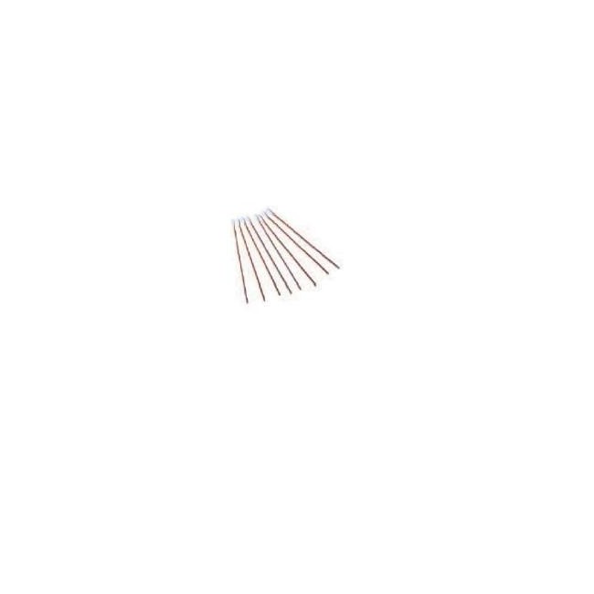 Tamponcino Pap Test 1 Pezzo Tamponcino Pap Test 1 Pezzo