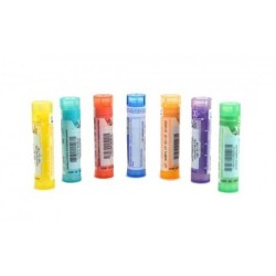 Lycopodium Clav Dyn 30ch Gr