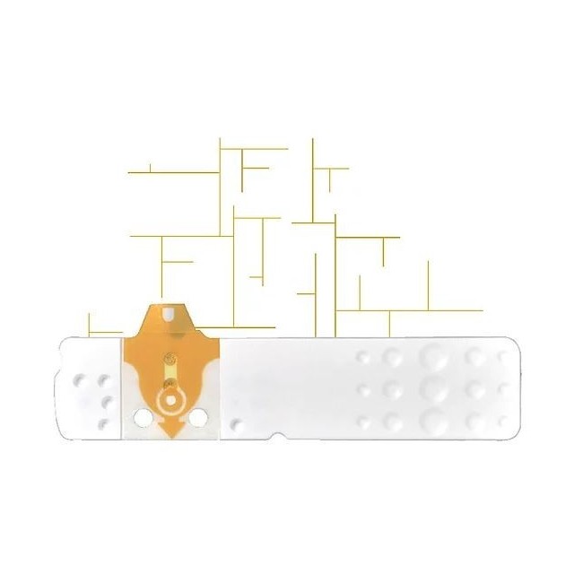 Strisce Misurazione Glicemia Linea D Oro 25 Pezzi