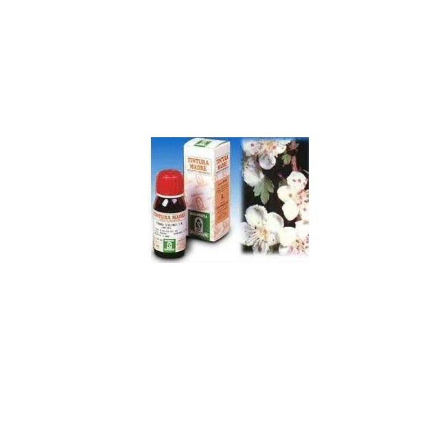 Biancospino 10 50ml Tm