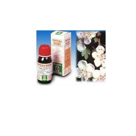 Biancospino 10 50ml Tm