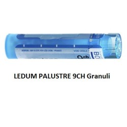 Ledum Palustre Boi 9ch Gr 4g