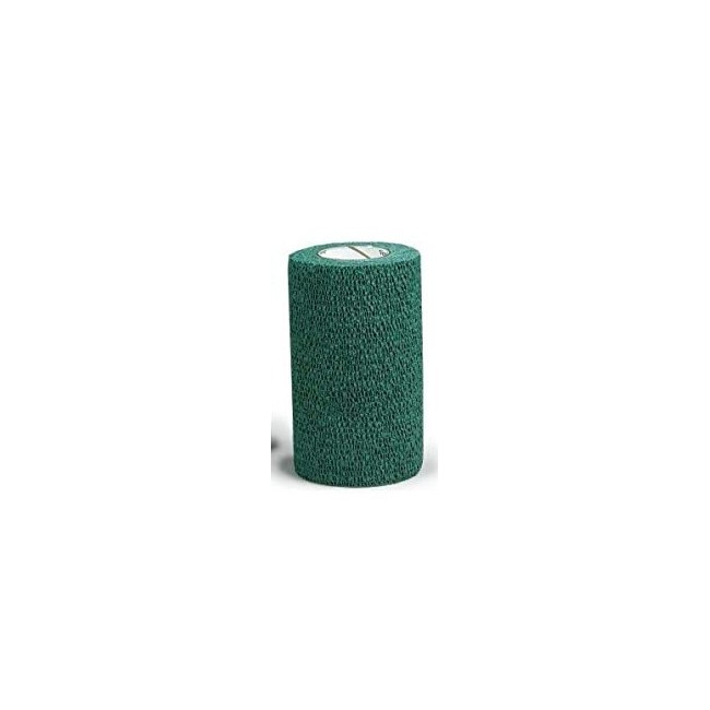 Vetrap Fascia Elastica Verde 10cm Vetrap Fascia Elastica Verde 10cm