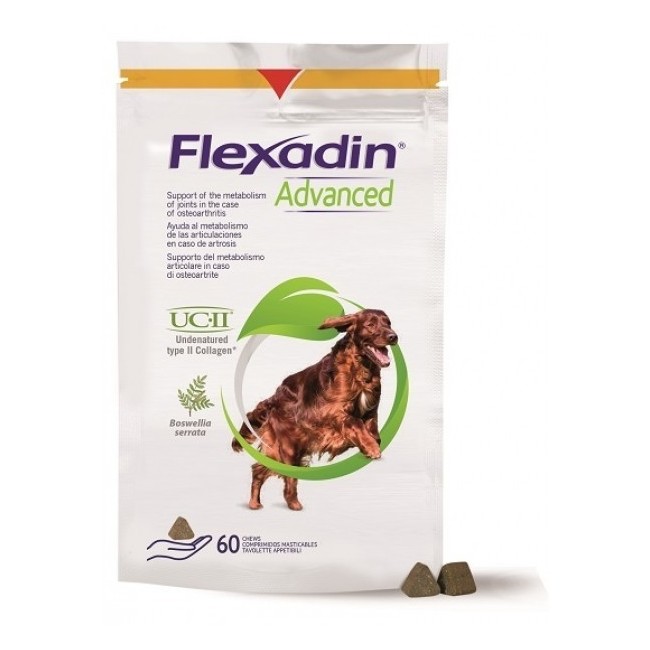 Flexadin Advanced Cane Tutte Le Taglie 60 Tavolette Appetibili Flexadin Advanced Cane Tutte Le Taglie 60 Tavolette Appetibili