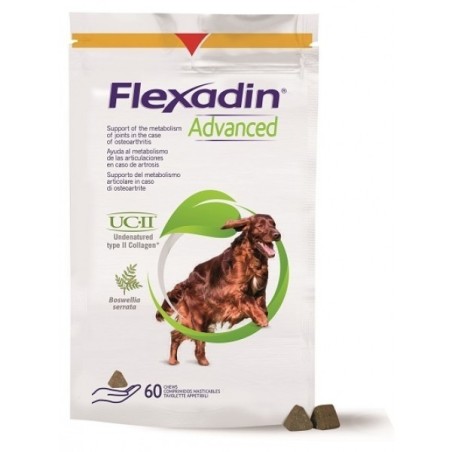 Flexadin Advanced Cane Tutte Le Taglie 60 Tavolette Appetibili Flexadin Advanced Cane Tutte Le Taglie 60 Tavolette Appetibili