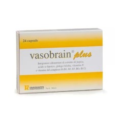 Vasobrain Plus 24 Capsule
