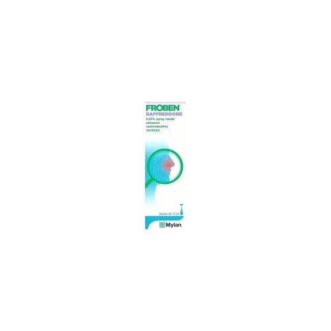 FROBEN RAFFREDDORE*15ML 0,05%
