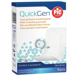 CER PIC CICATRIZZANTE 10X7,5 5