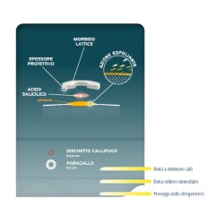 PIC CER CALLIFUGHI+DISCH24PZ PIC CER CALLIFUGHI+DISCH24PZ