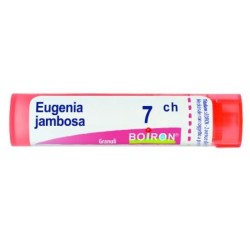 EUGENIA JAMBOSA 7CH GR 4G