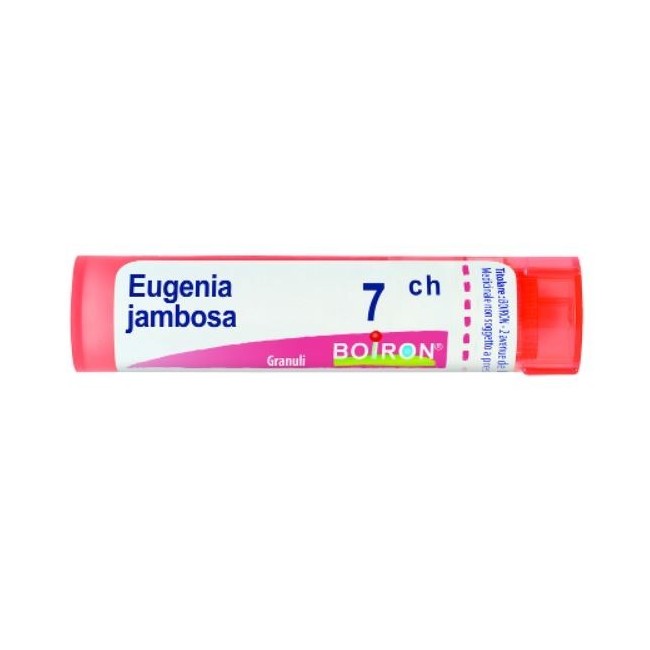 EUGENIA JAMBOSA 7CH GR 4G