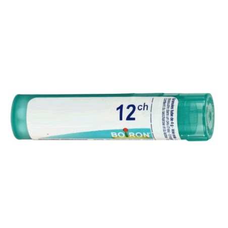 THUYA OCC 12CH GR 4G