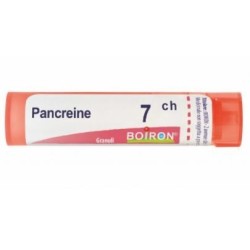 PANCREAS 7CH GR 4G