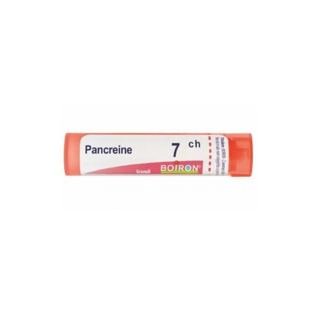 PANCREAS 7CH GR 4G