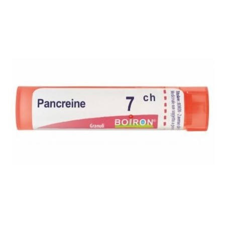 PANCREAS 7CH GR 4G