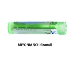 BRYONIA BOI*5CH GR 4G BRYONIA BOI*5CH GR 4G