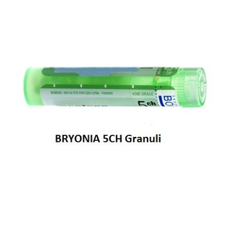 BRYONIA BOI*5CH GR 4G BRYONIA BOI*5CH GR 4G