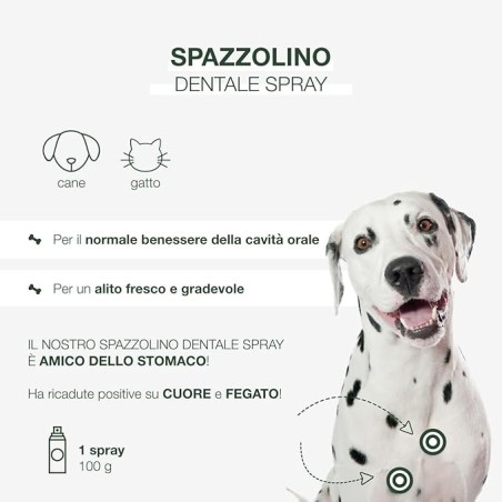 PETFORMANCE SPAZZ DENTALE SPR