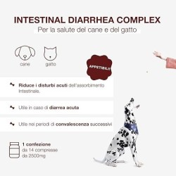 G&P PETFORM INTEST DIARRHEA