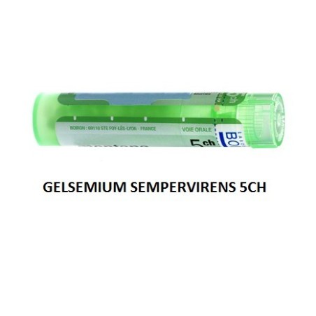GELSEMIUM SEM BOI*5CH GR 4G GELSEMIUM SEM BOI*5CH GR 4G