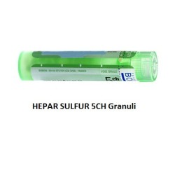 HEPAR SULFUR BOI*5CH GR 4G HEPAR SULFUR BOI*5CH GR 4G