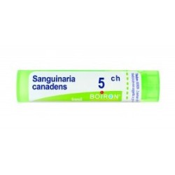 SANGUINARIA C BOI*5CH GR 4G