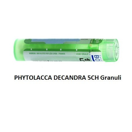 PHYTOLACCA DE BOI*5CH GR 4G PHYTOLACCA DE BOI*5CH GR 4G