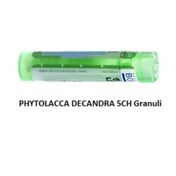PHYTOLACCA DE BOI*5CH GR 4G PHYTOLACCA DE BOI*5CH GR 4G