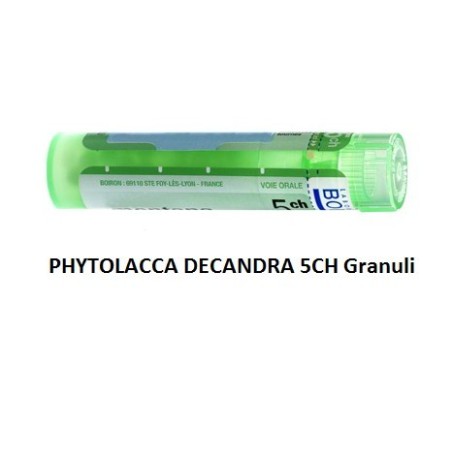 PHYTOLACCA DE BOI*5CH GR 4G PHYTOLACCA DE BOI*5CH GR 4G