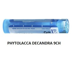 PHYTOLACCA DE BOI*9CH GR 4G