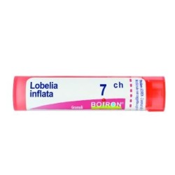 LOBELIA INFL BOI*7CH GR 4G