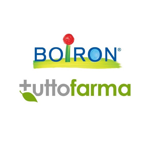 EUPATORIUM P BOI*6CH GR 4G EUPATORIUM P BOI*6CH GR 4G