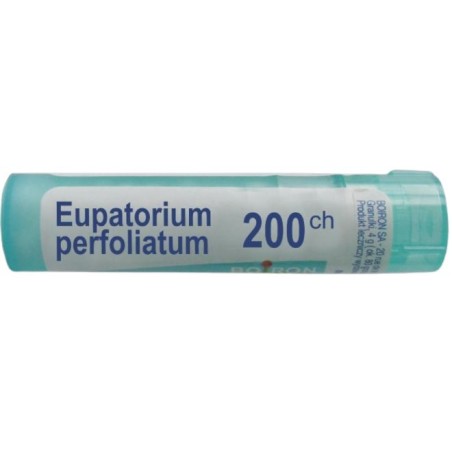 EUPATORIUM P BOI*200CH GL 1G EUPATORIUM P BOI*200CH GL 1G