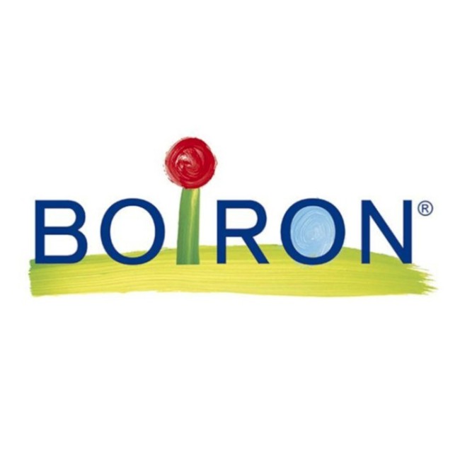 SAMBUCUS NIG BOI*7CH GR 4G SAMBUCUS NIG BOI*7CH GR 4G